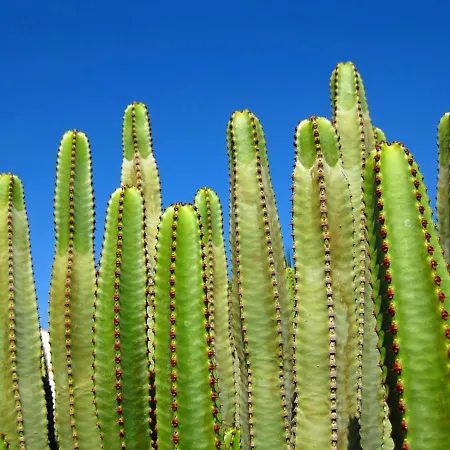 Appartamento Casa Médano 34 *